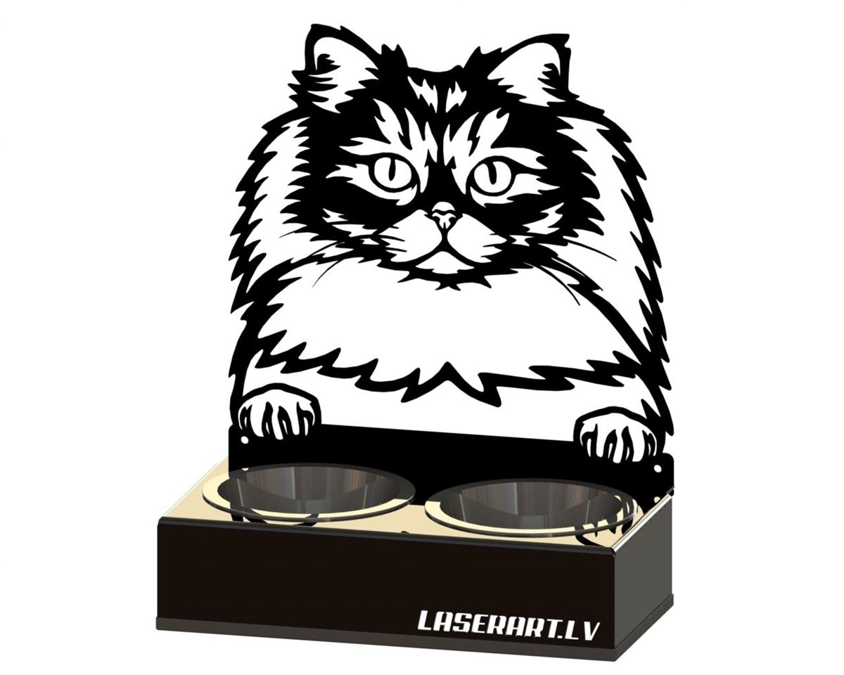 2-Bowl Cat Feeder, British Longhair Cat breed, Raised Feeding Station